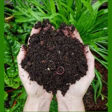 Brown Organic Vermicompost, For Agriculture, Packaging Type : Plastic Bag