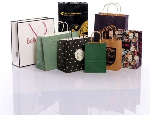 Printed Paper Carry Bags, Technics : Machine Made