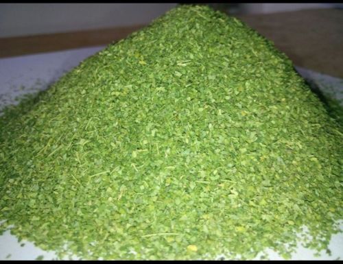 Green SVM NATURALS Organic Moringa Tbc Leaves, Feature : Nice Aroma, Insect Free