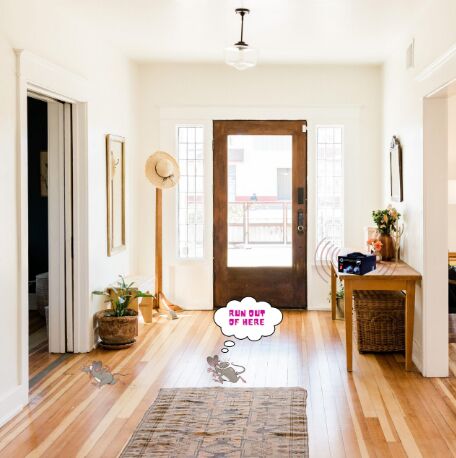 220 V AC / 50 HZ Electric Ultrasonic Rat Repeller System, Color : Black