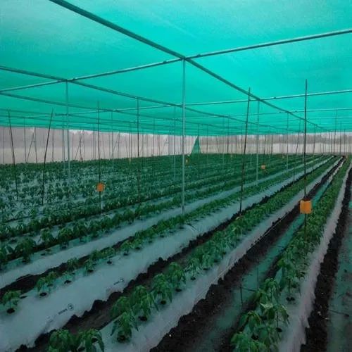 HDPE Agro Shade Net, Feature : High Strength, Superior Quality