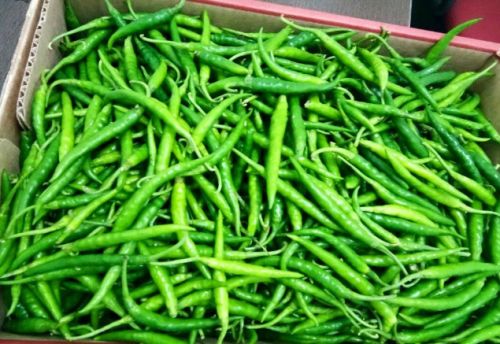 Fruits and Vegetable Export Consultation Services