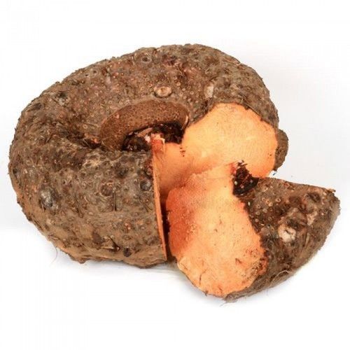 Brown Elephant Yam