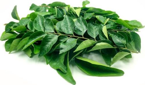 Green Raw Natural Fresh Curry Leaves, For Cooking, Grade Standard : Food Grade