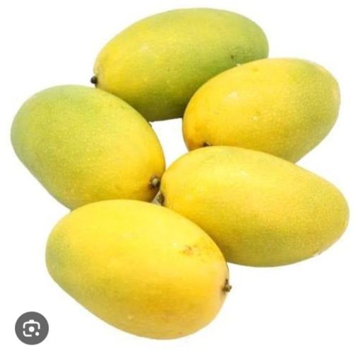 Natural Dasheri Mango, Taste : Sweet