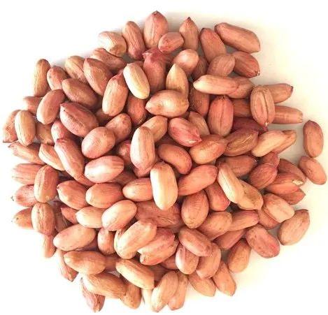 50/60 Bold Peanuts, Feature : Healthy, High Nutrition