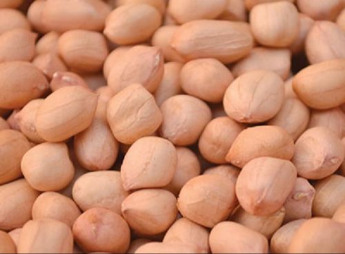 Natural 80/90 Java Peanuts, Shelf Life : 6Months