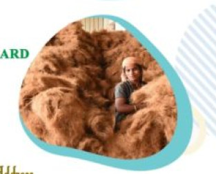 Brown 5kg Coir Pith Block, For Floor, Size : 12x4inch, 12x5inch