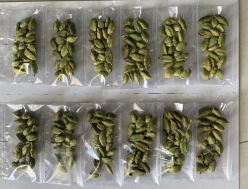 Green Solid Raw Organic Cardamom, For Spices