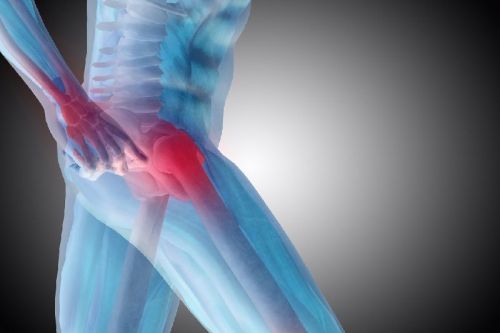 Hip Replacement Treatment Service