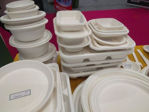 Sugarcane Bagasse Plates and Tableware, Color : White