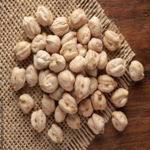 Organic White Chickpeas, For Cooking, Style : Dried