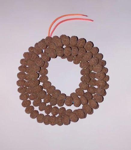 Brown Nepali Rudraksha, Size : Standard