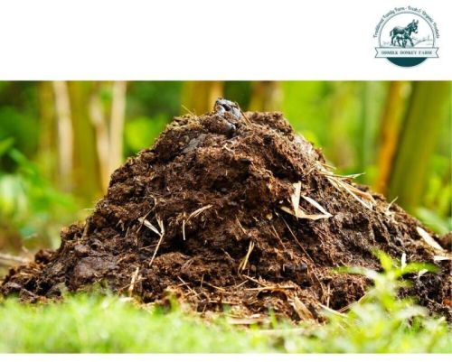 Raw Donkey Dung, For Agriculture, Packaging Type : Loose