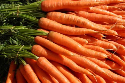 Red Natural Fresh Carrot, For Snacks, Pickle, Juice, Food, Shelf Life : 7 To 10 Days