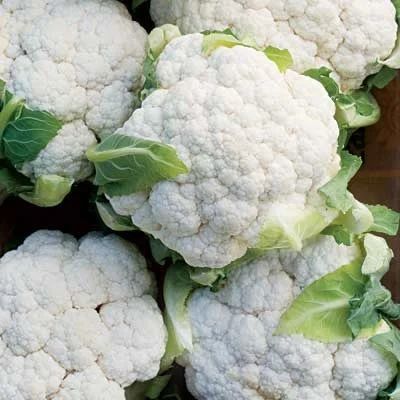 Fresh Cauliflower, Packaging Type : Gunny Bag