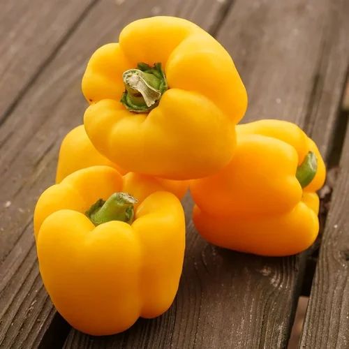 Fresh Yellow Capsicum, For Cooking, Shelf Life : 3-5days