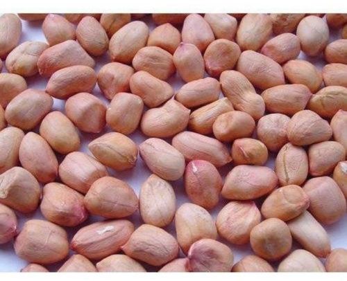 Brown Natural Groundnut Seeds, For Cooking, Style : Raw