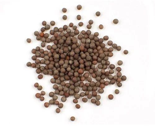 Brown Mustard Seeds, For Cooking, Packaging Type : Paper Box