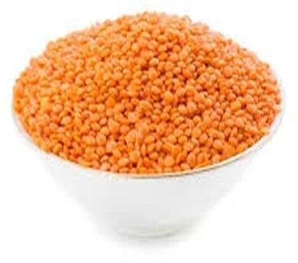Natural Red Masoor Dal, For Human Consumption, Feature : Nutritious