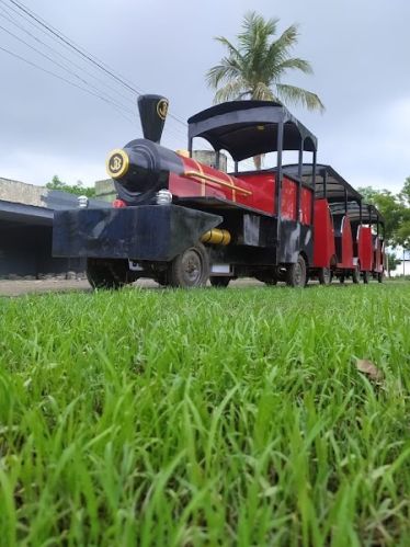 Electric Trackless Train, For Playing
