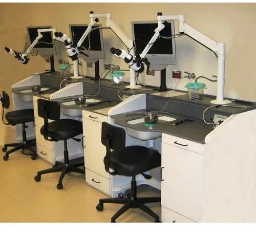 Electric Polished Temporal Bone Workstation for Clinical Use, Hospital