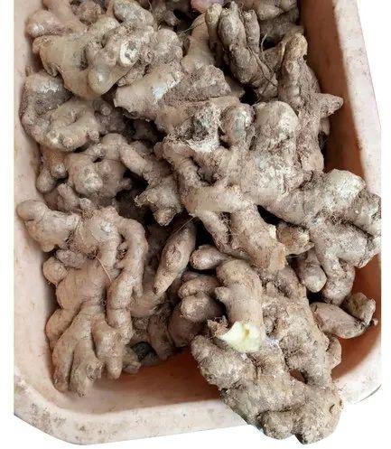 Dried Ginger Roots, For Cooking, Packaging Size : 25 Kg