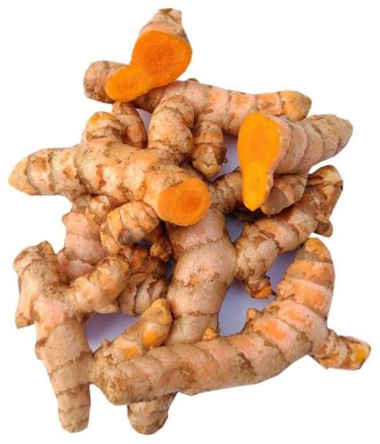 Fresh Turmeric Finger, For Spices, Food Medicine, Packaging Size : 20 Kg