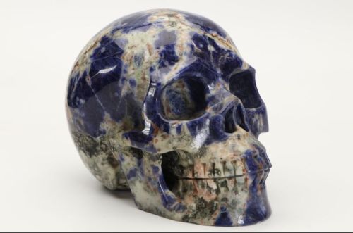 Blue Sodalite Skull