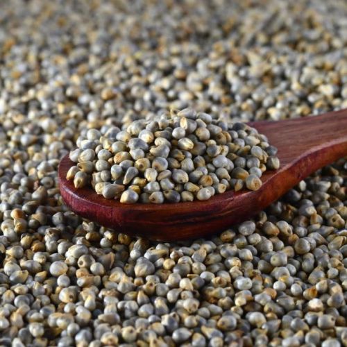 Organic Pearl Millet For Cooking