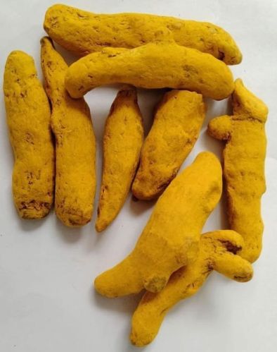 Turmeric Finger For Cooking