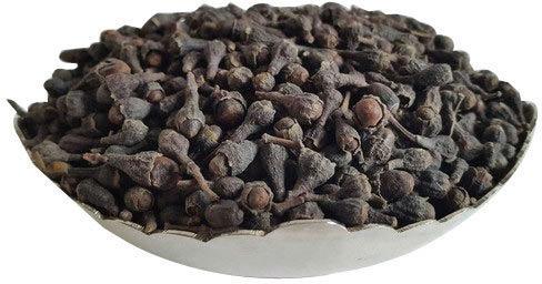 Nagkesar Seeds