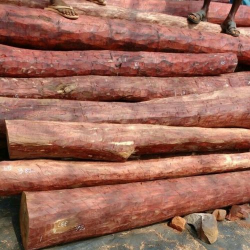 Red Sandalwood Logs, For Furniture