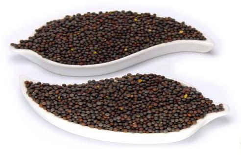 Black Mustard Seeds, For Cooking, Shelf Life : 12 Months