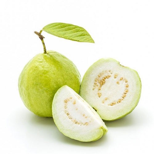 Fresh Guava, For Human Consumption, Packaging Type : Plastic Bag