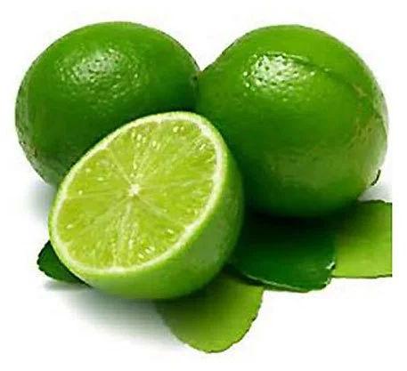 Natural Fresh Green Lemon For Pickles, Drinks