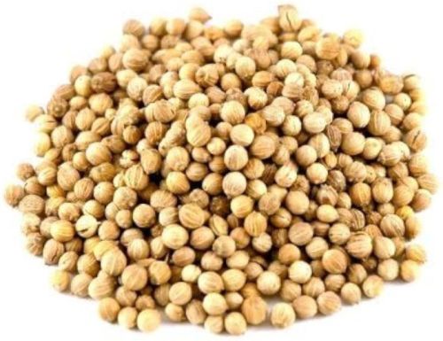 Brown Raw Organic Coriander Seeds, For Cooking, Certification : FSSAI Certified