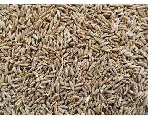 Raw Natural Cumin Seeds, Grade Standard : Food Grade