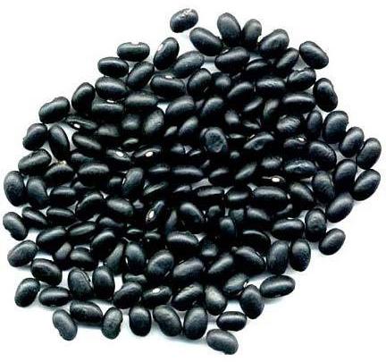 Black Kidney Beans, For Cooking, Packaging Type : Bag