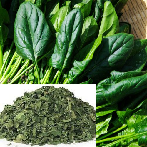 Nutriesfoods Dried Spinach Leaf, Packaging Type : Plastic Bag