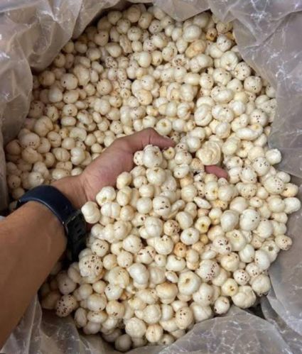 Roasted Makhana, Certification : FDA Certified