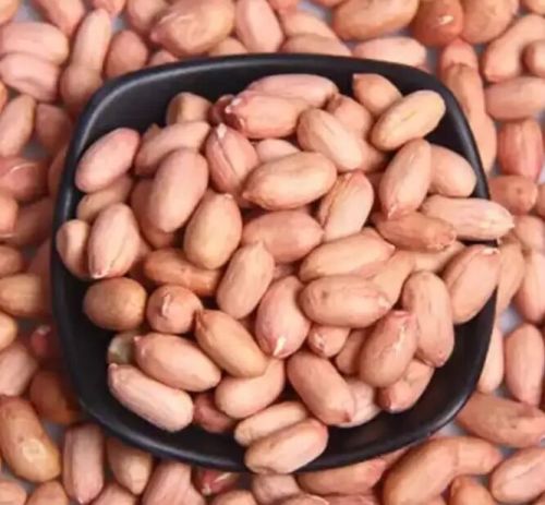 PEC Peanuts Bold Groundnut Kernels, Length : --