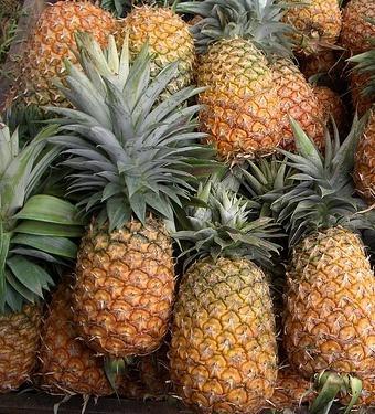 Best Quality Fresh Pineapple, Packaging Type : Bag, Packaging Size : 20 Kg For Juice