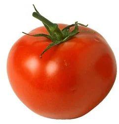 Natural Fresh Tomato, Color : Red, Packaging Size : 20Kg, Packaging Type : Bag
