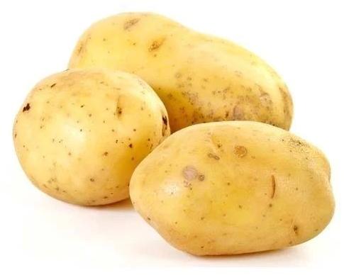 Sugar Free Fresh Potato, For Cooking, Packaging Size : 20 Kg