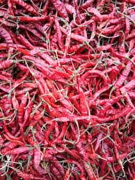 Ruca Natural Taja S17 Dry Red Chilli, Packaging Size : 45kgs