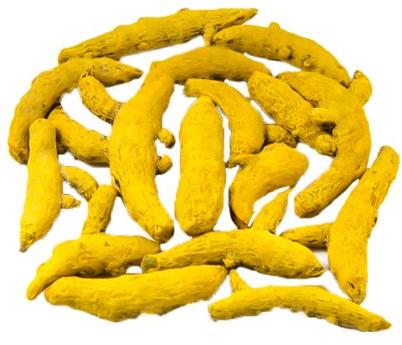 Ruca Bright Yellow Color Finger Bulb Raw Nizamabad Turmeric, For Cooking, Packaging Size : 45kgs