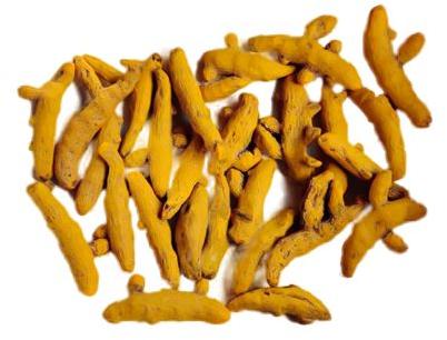 Bright Yellow Raw Salem Bold Turmeric Finger, For Cooking, Spices, Packaging Size : 45kgs