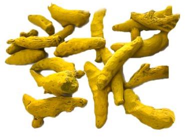 Ruca Raw Salem Small Turmeric Finger, For Cooking, Spices, Packaging Size : 45kgs