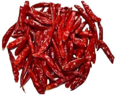 Wrinkle273 Chilli, Brand Name : Ruca, Length : 10cms-12cms